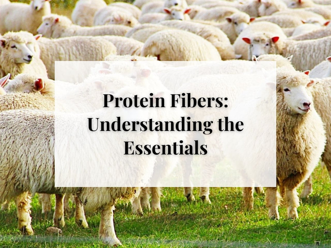 Protein Fibers: Understanding the Essentials